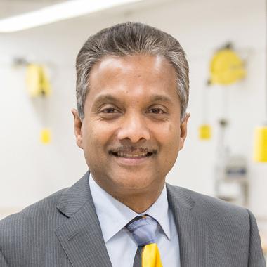 Ronald S. Harichandran, Ph.D., P.E., F.ASCE